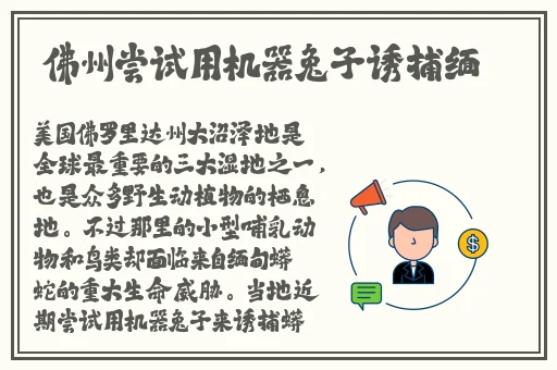 APP聚合绿巨人黑科技